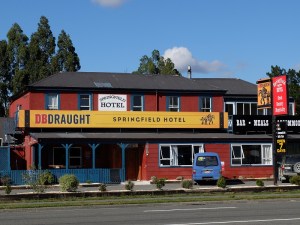 Springfield Pub