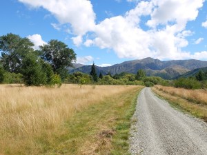 Queenstown Trail
