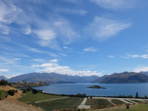 Rippon Wines