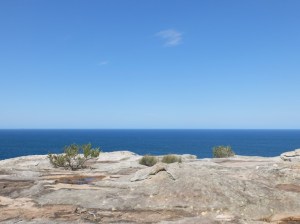 North Head