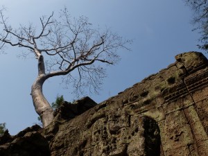 Ta Prohm