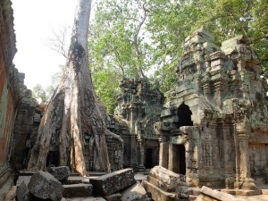 Ta Prohm