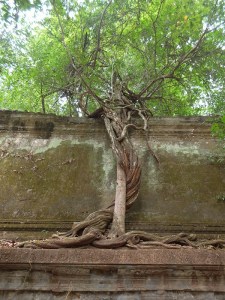 Beng Mealea