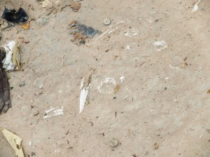 Cloth and bone fragments