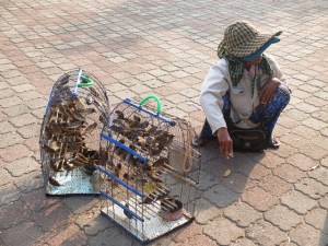 Bird seller